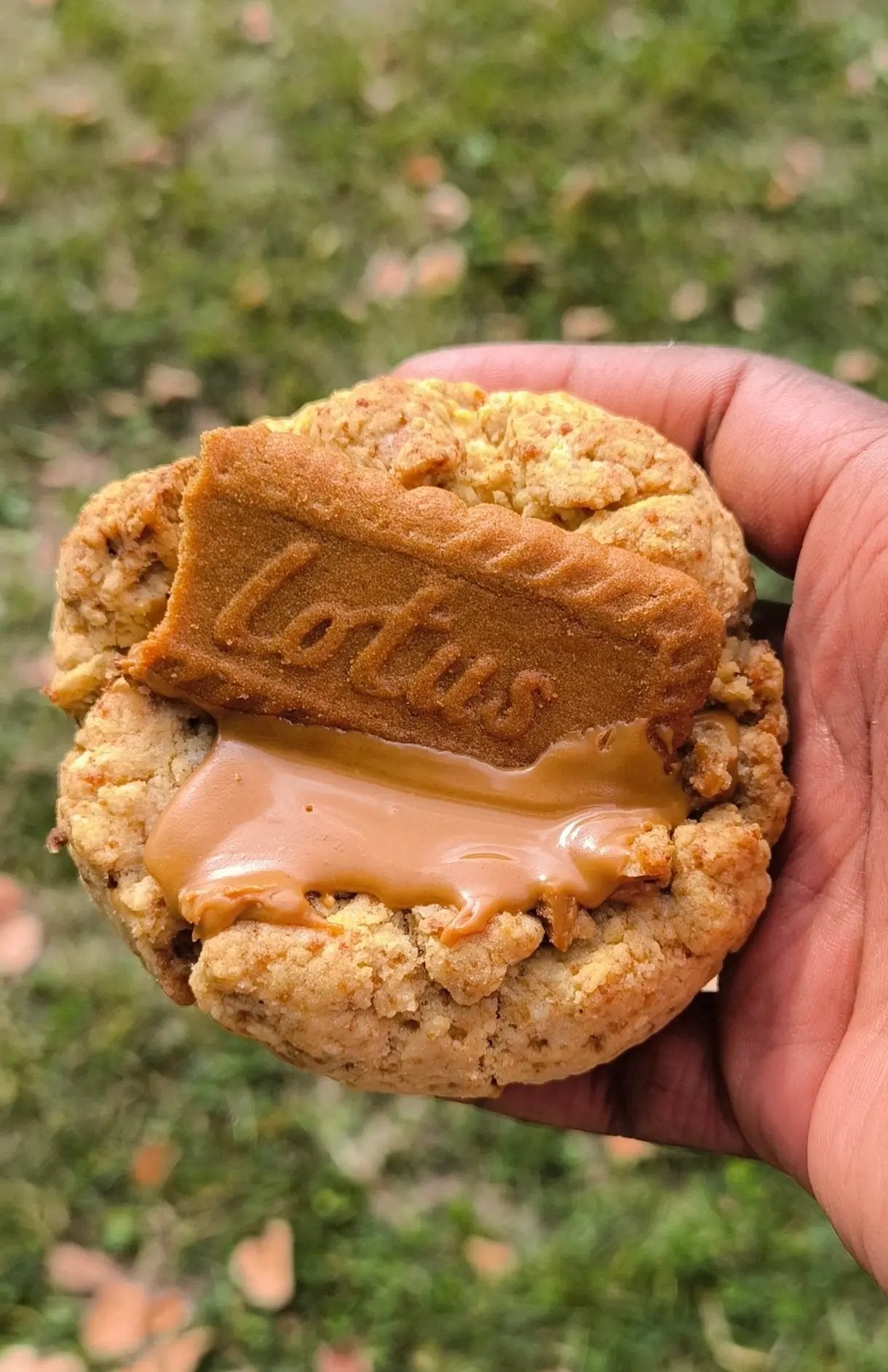 COOKIE SPECULOOS - Le biscoff My Store